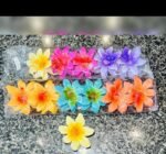 Untitled (1080 x 1080 px) (5)